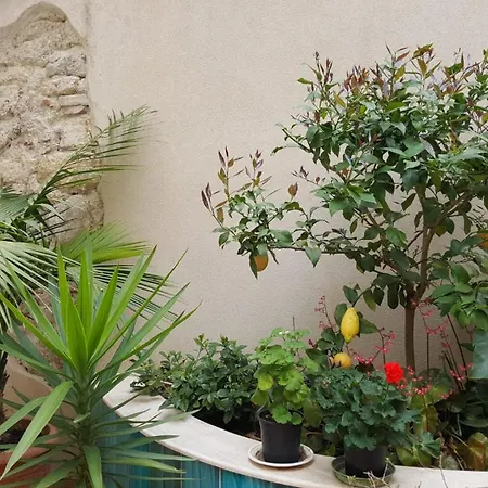 L'orto Magno Apartment