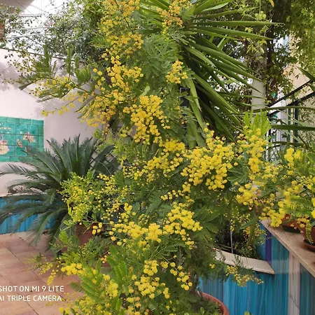 L'orto Magno * Salerno